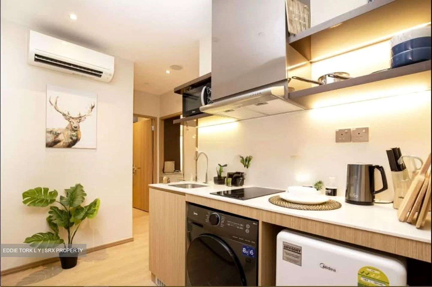 Mount Elizabeth Link (D9), Apartment #549723271